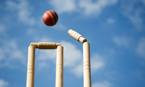 Cricket wicket being bowled out at a match