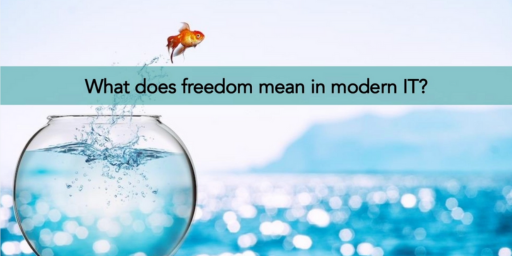 jumpcloud_goldfish_freedom